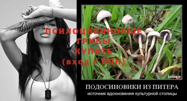 стафф Навашино