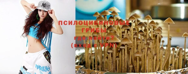 твердый Нефтекумск